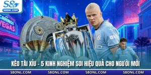 Kèo Tài Xỉu - 5 Kinh Nghiệm Soi Hiệu Quả Cho Người Mới
