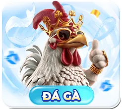 Đá gà S8
